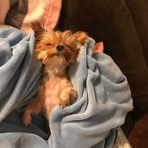 Meet your Posher, Sherry